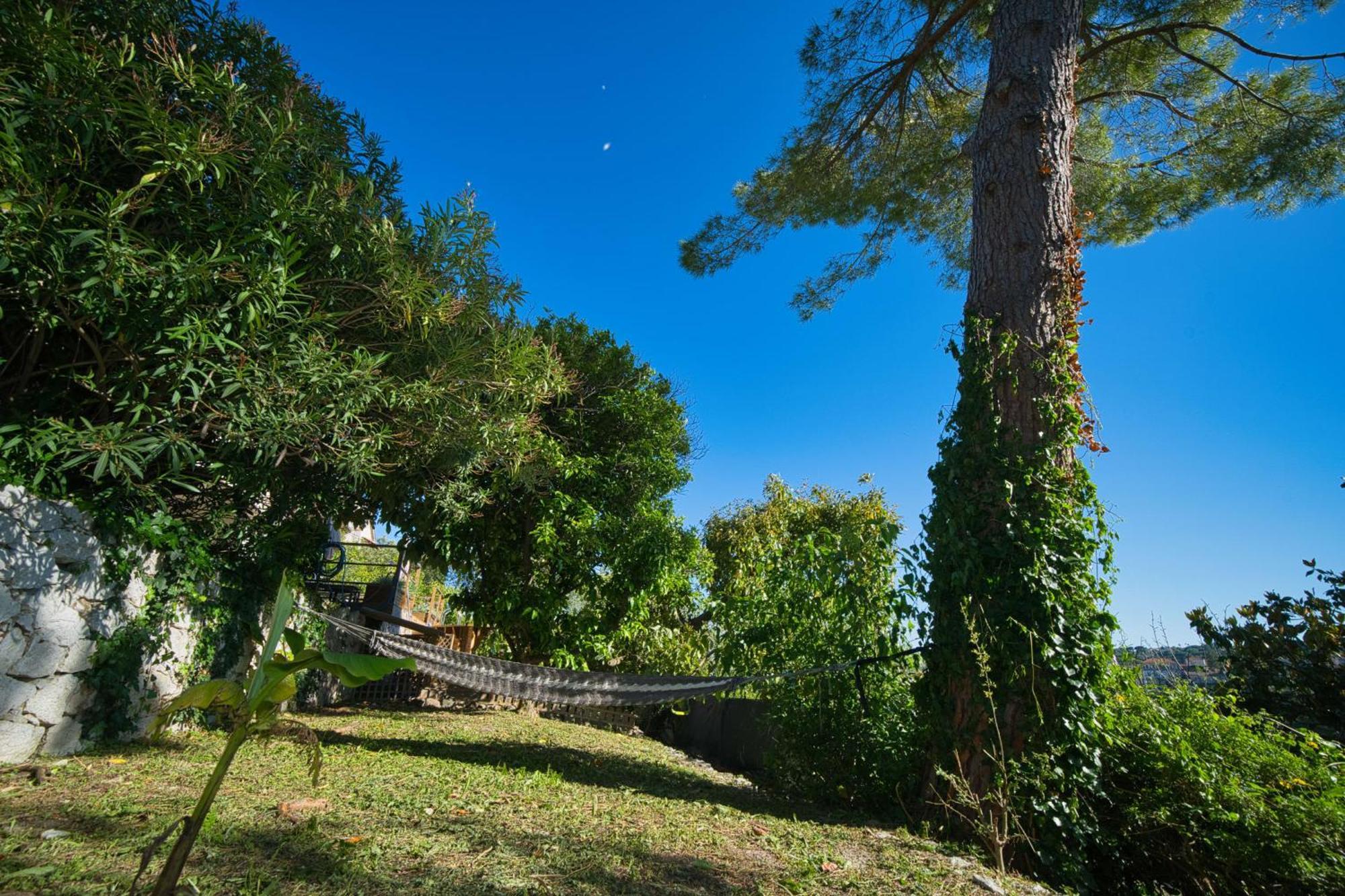06Q - Biot Beautiful Provencal Villa With Swimming Pool Esterno foto